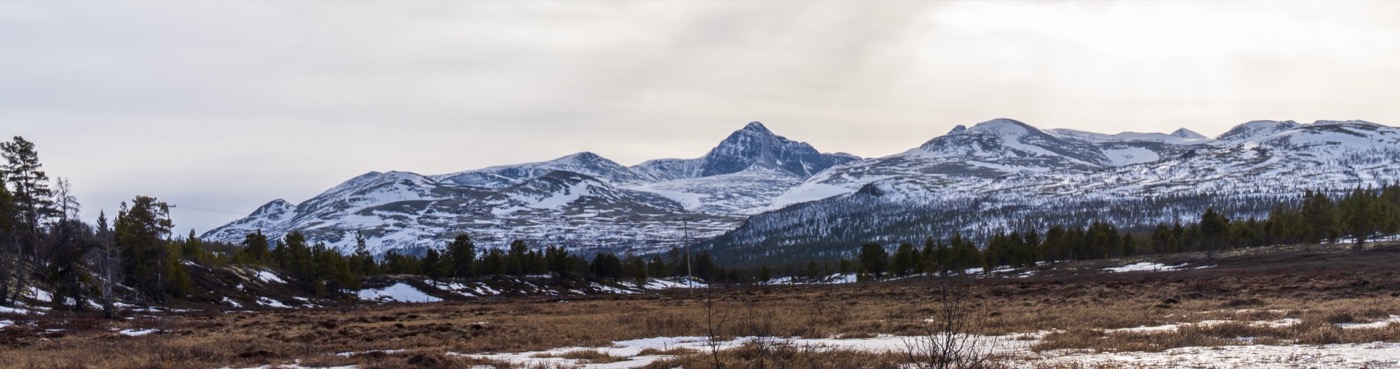 Dovrefjell