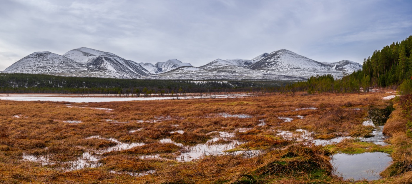 Dovrefjell