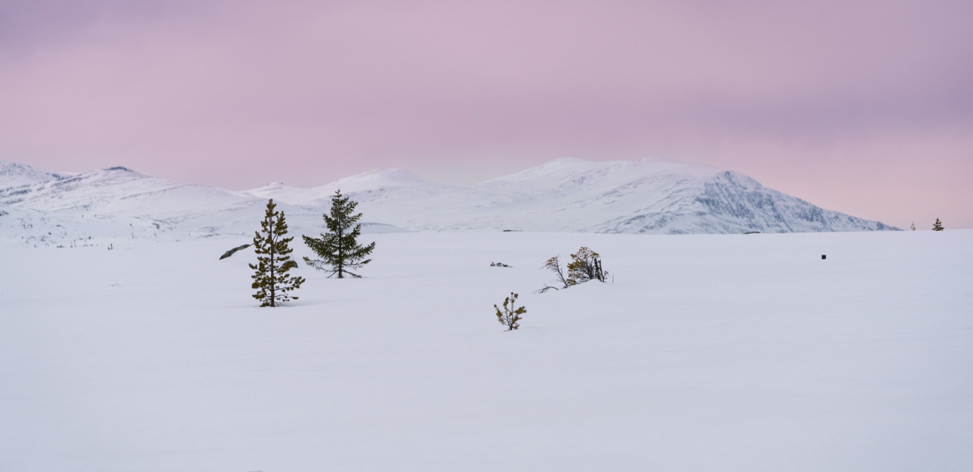 Dovrefjell