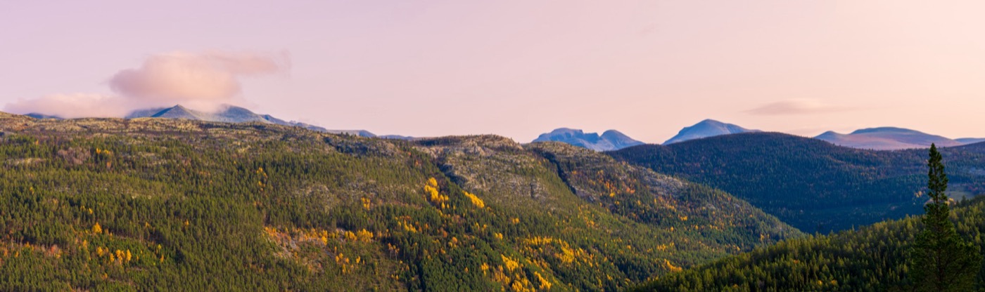 Rondane