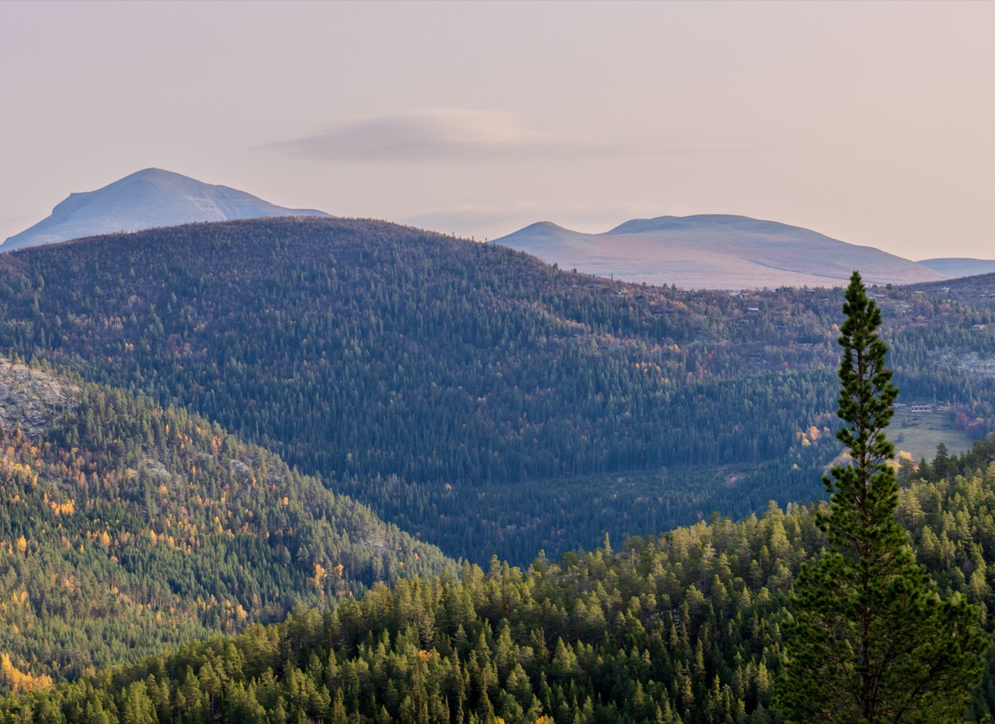 Rondane