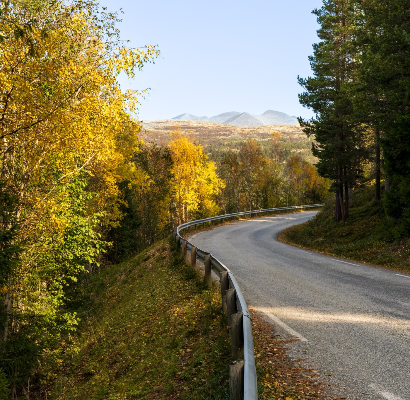 Rondane