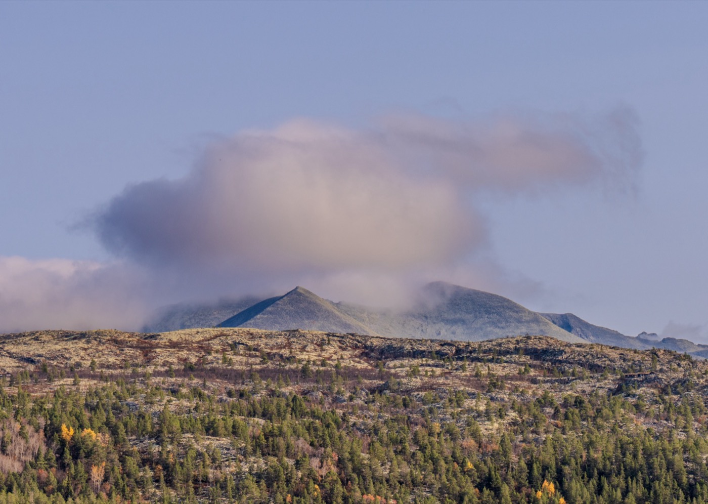 Rondane