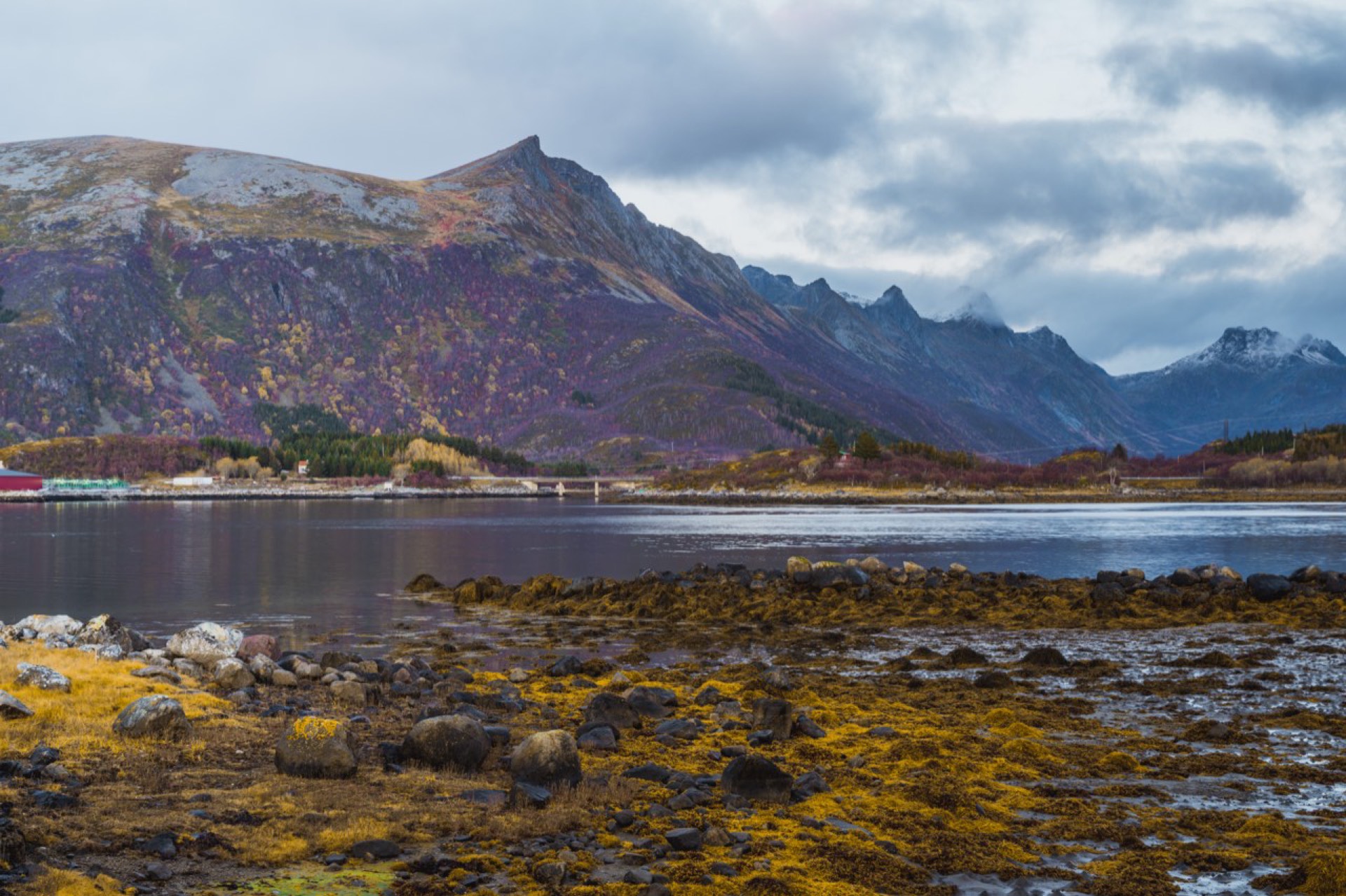 Fiord i osada na wyspie Austvågøya, Lofoty