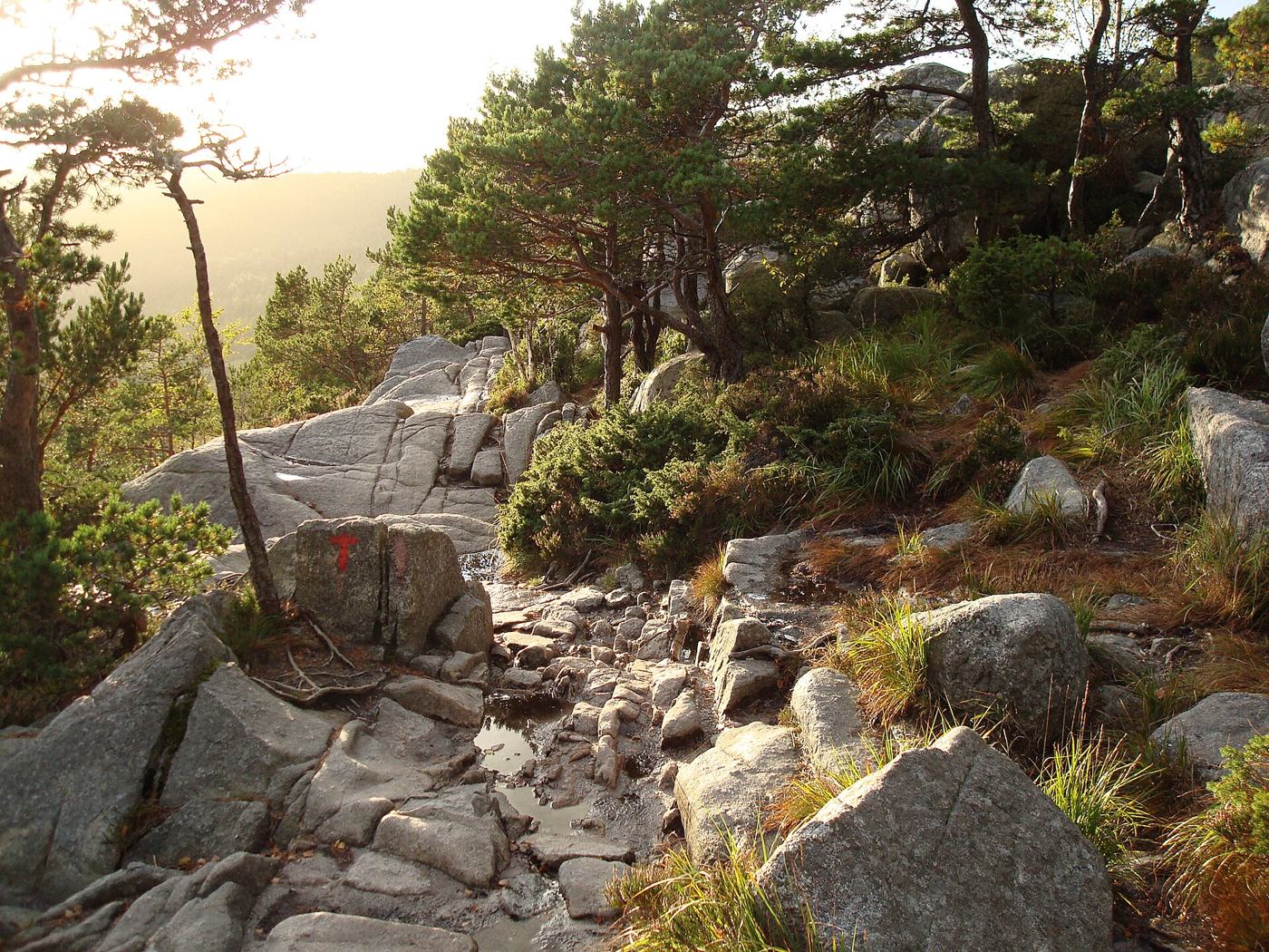 Kamienisty odcinek szlaku do Preikestolen z czerwonym znakiem T na skale