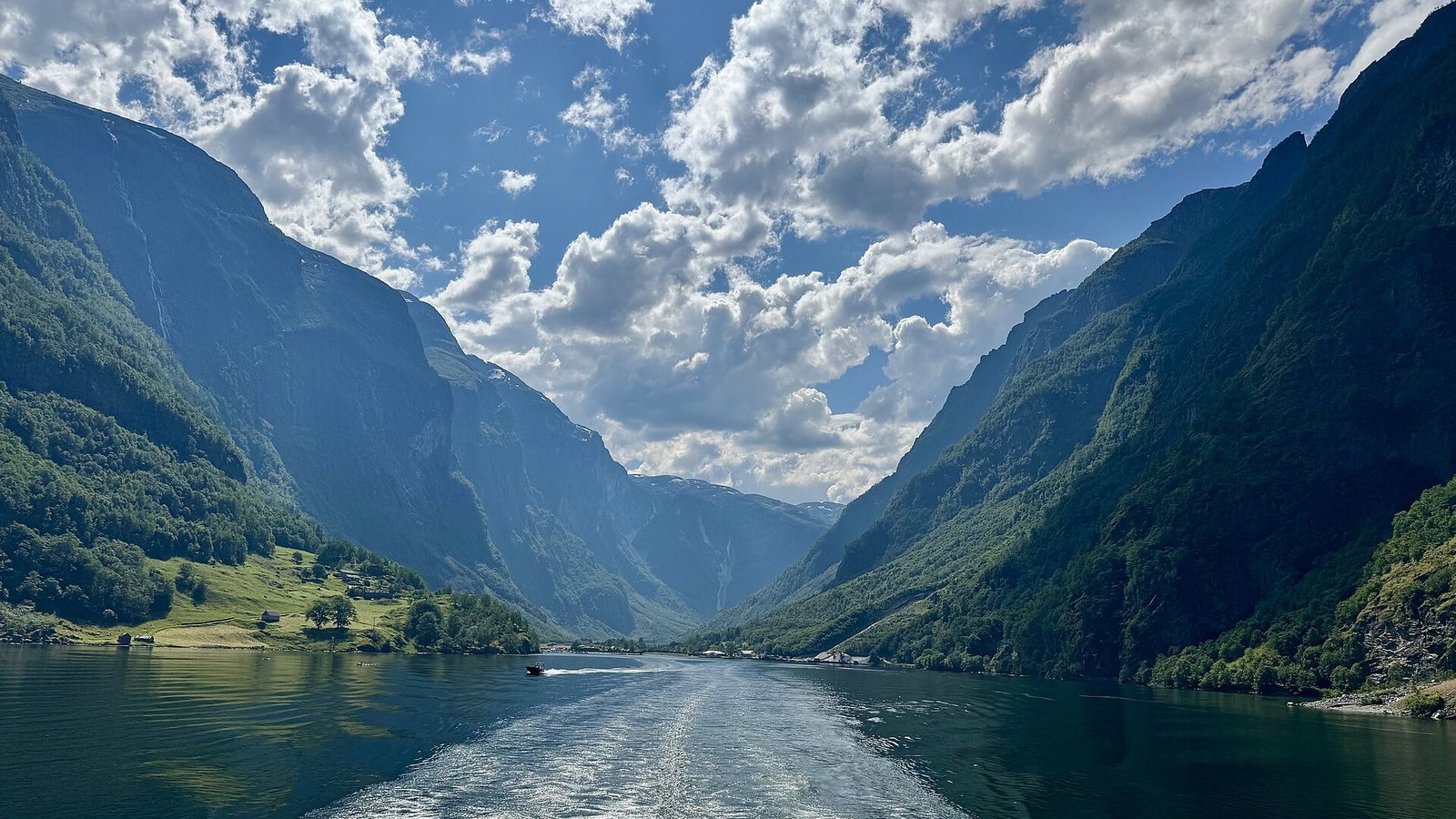 Widok z pokładu statku na wąski Nærøyfjord między stromymi górami