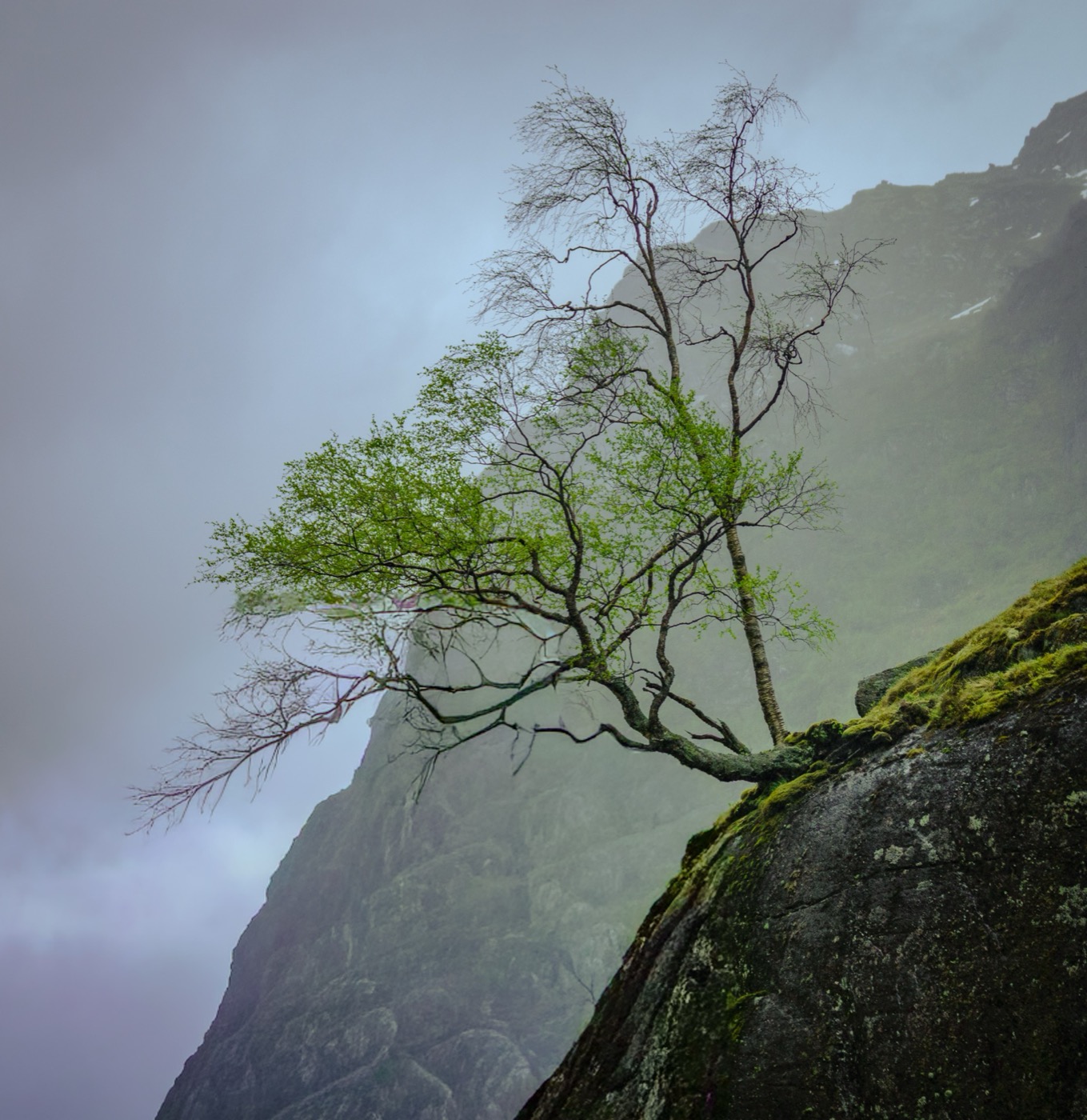 Trollstigen